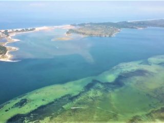 MOZAMBIQUE - BILENE